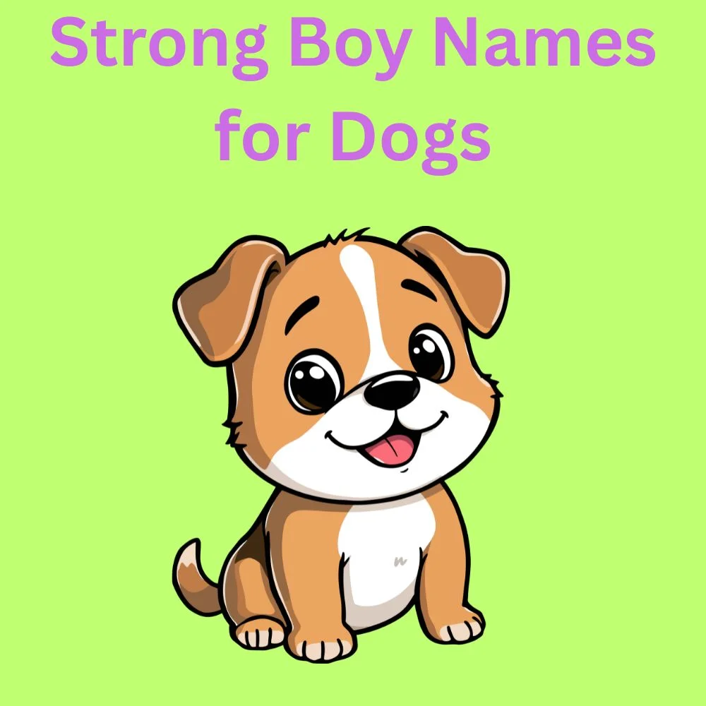 Strong Boy Names for Dogs