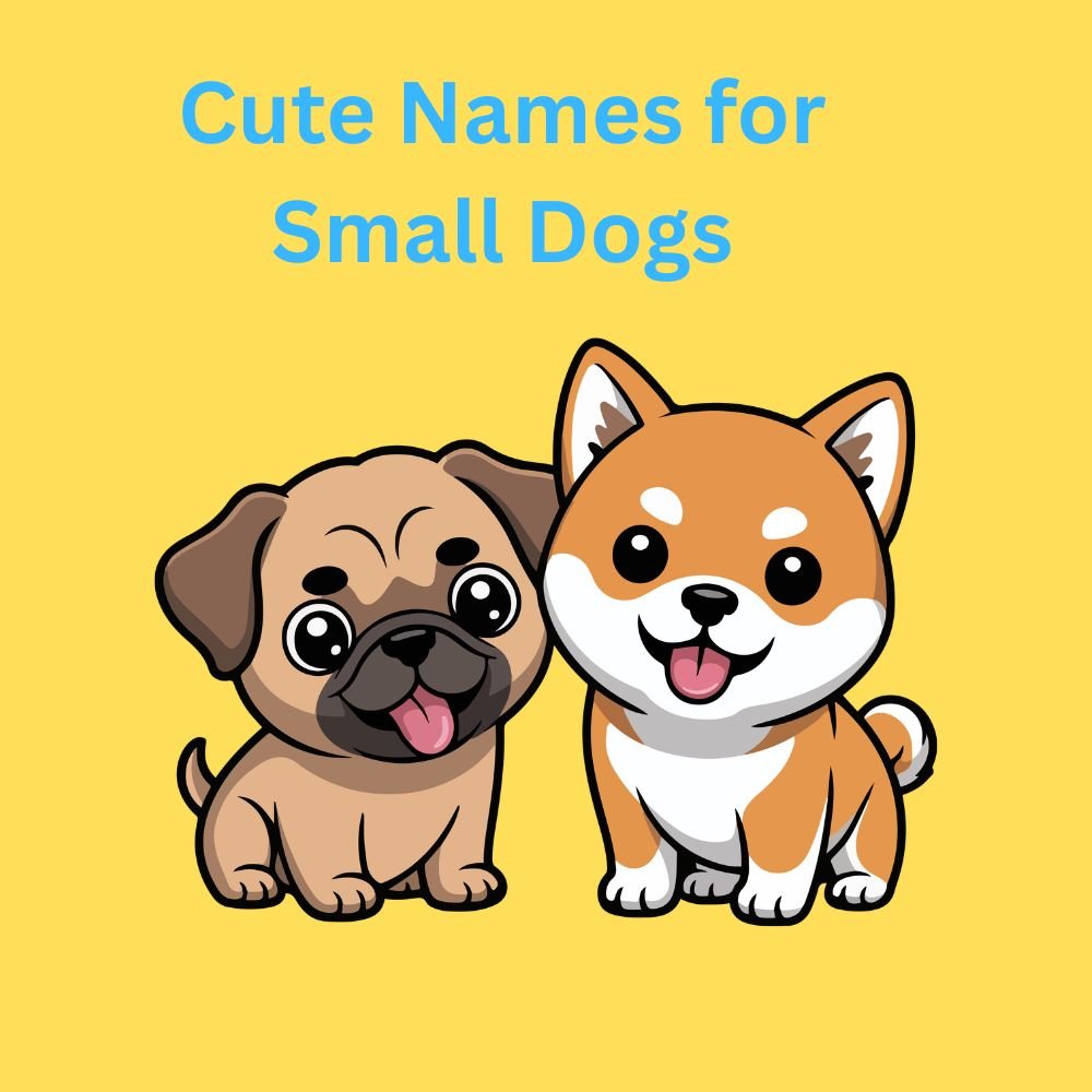 Cute Names for Small Dogs