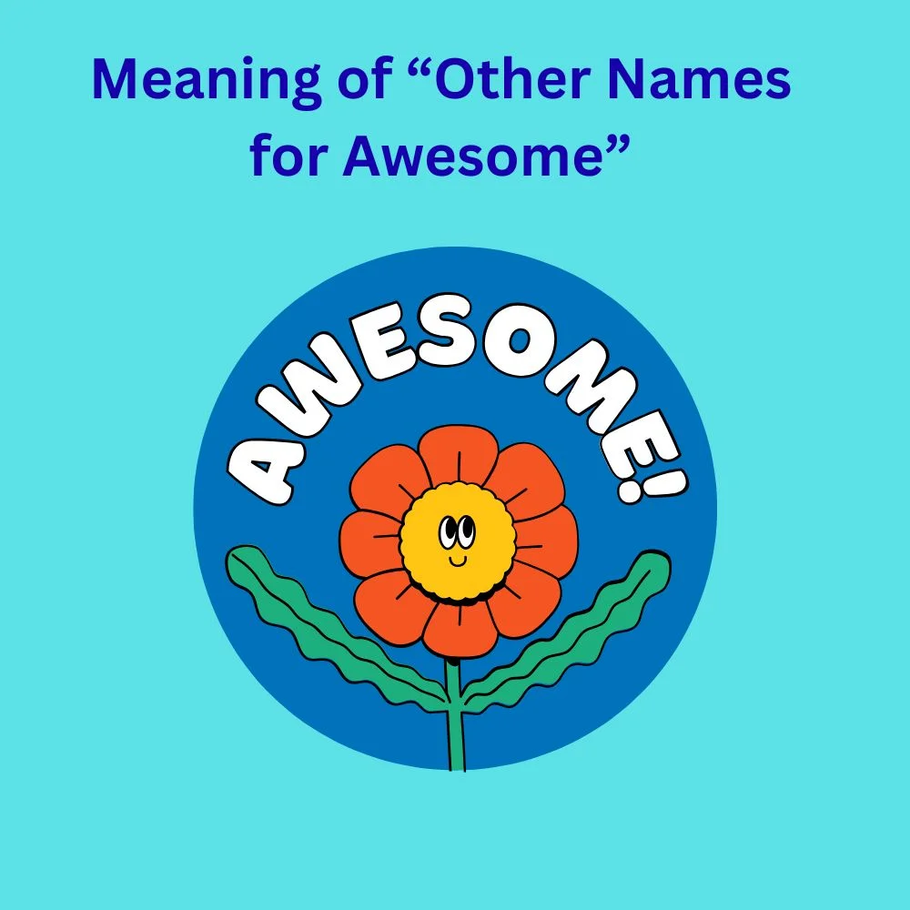 Meaning of “Other Names for Awesome”