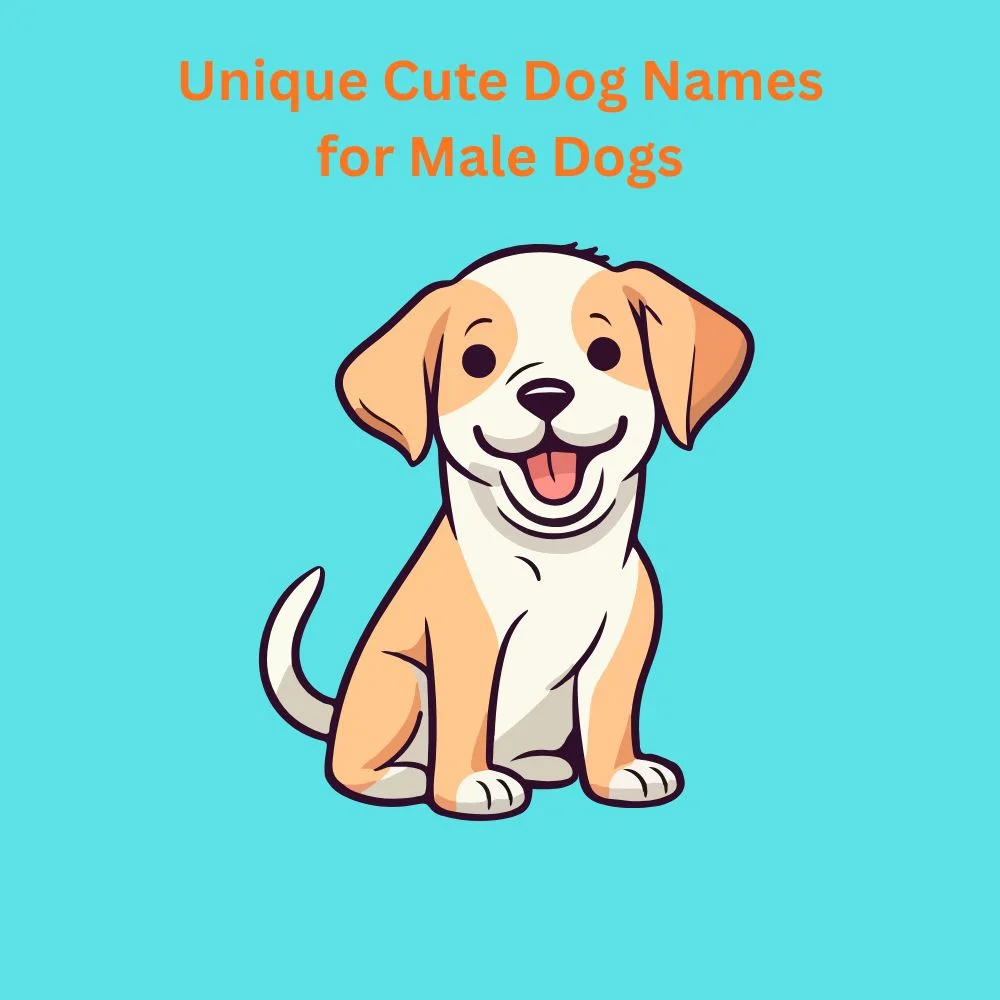 Unique Cute Dog Names for Male Dogs