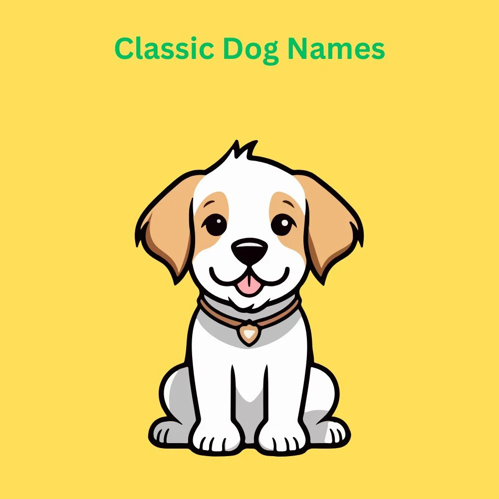 Classic Dog Names