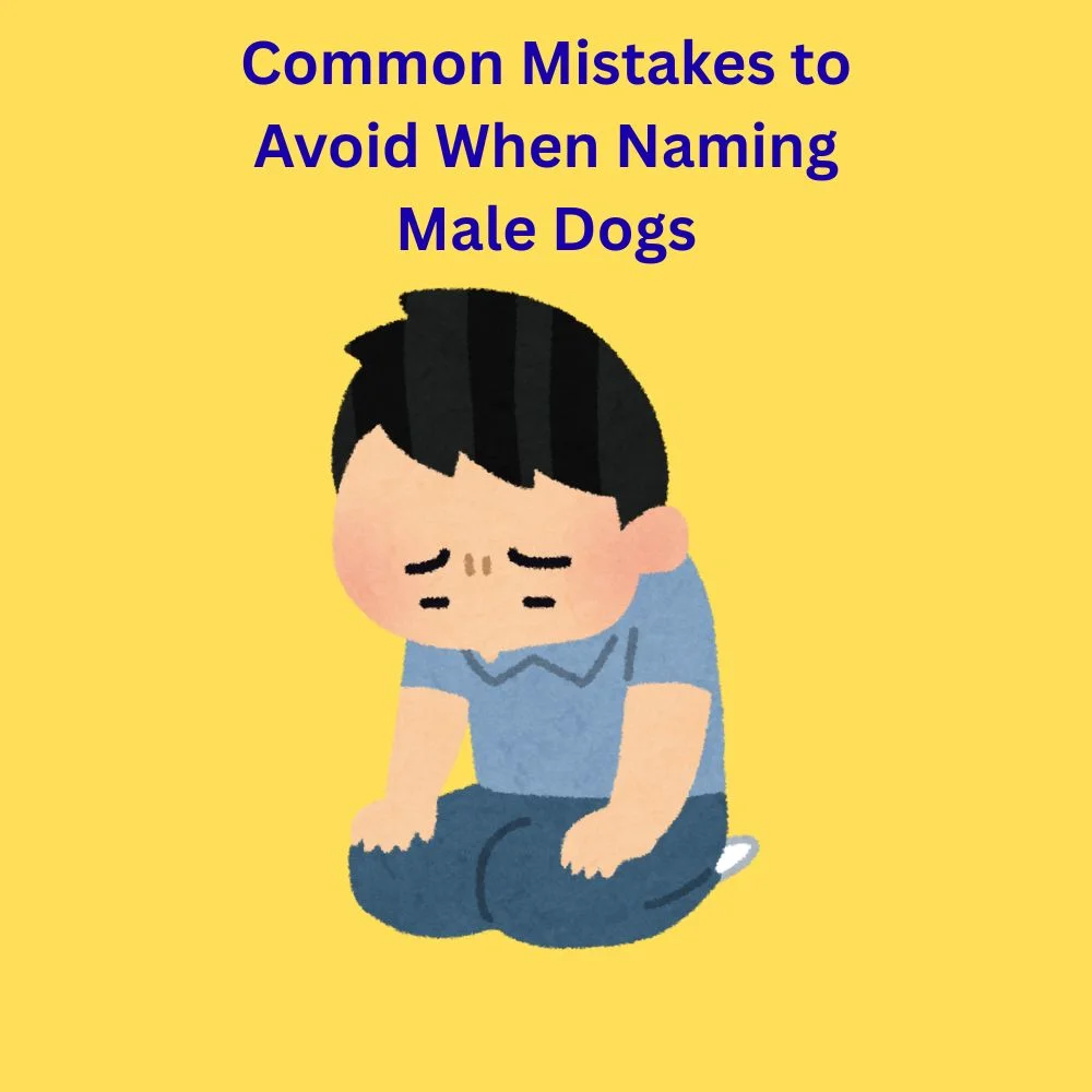 Common Mistakes to Avoid When Naming Male Dogs