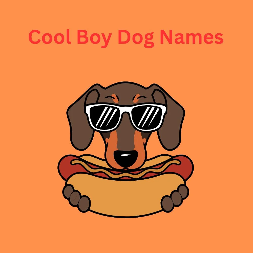 Cool Boy Dog Names