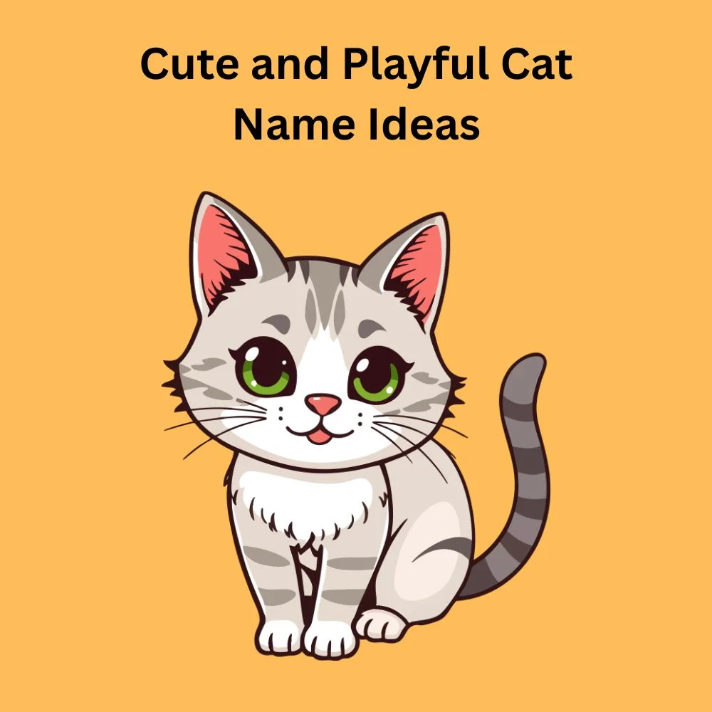 Cute and Playful Cat Name Ideas