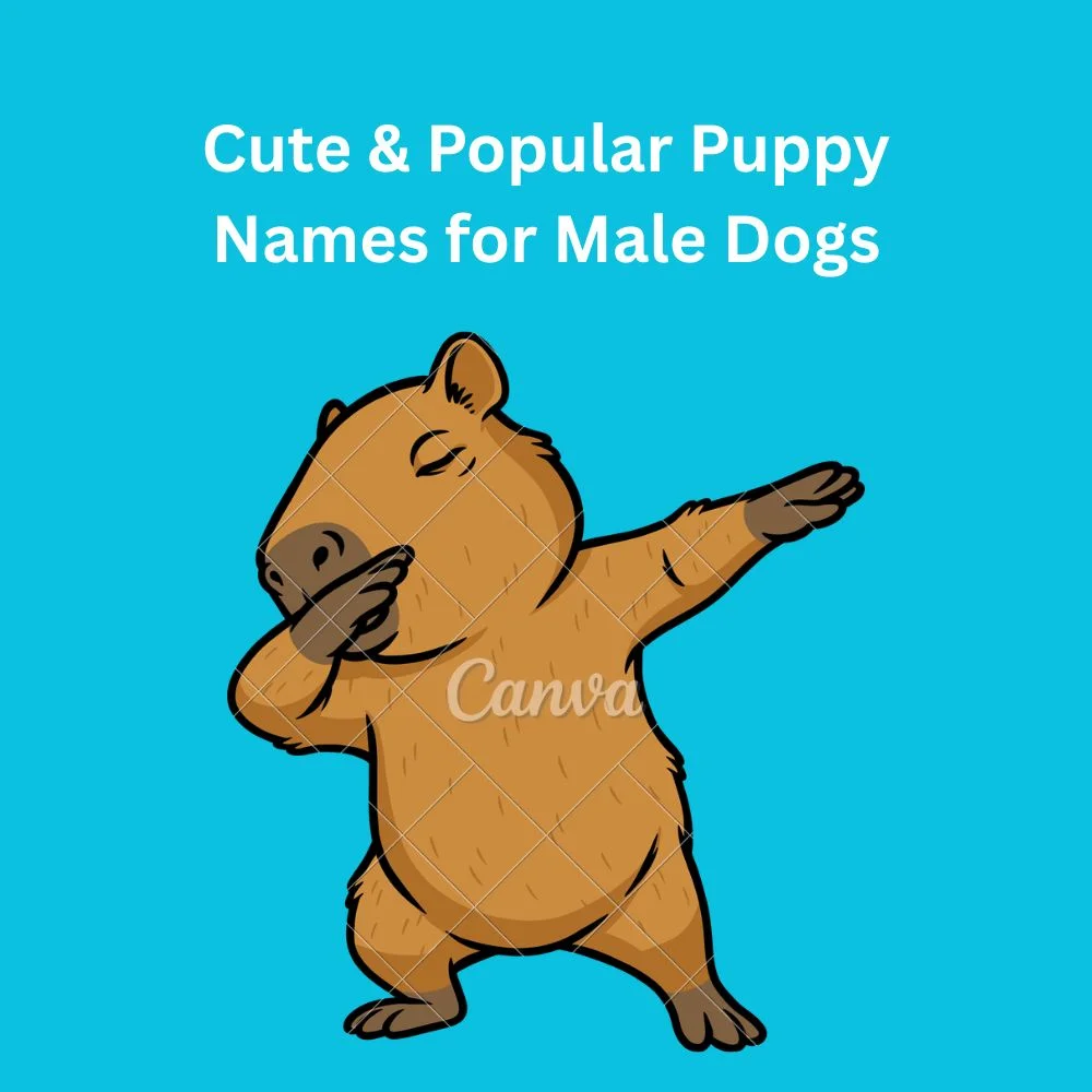 Cute & Popular Puppy Names for Male Dogs