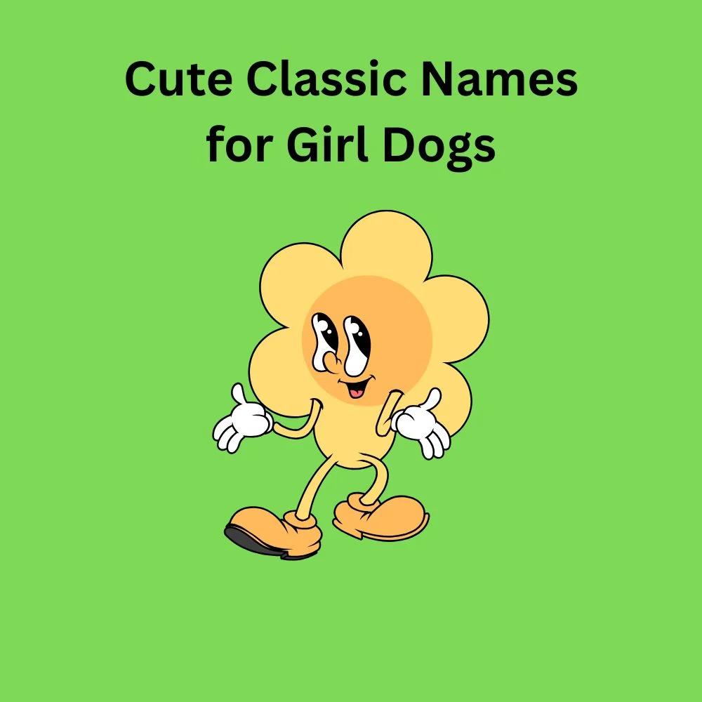 Cute Classic Names for Girl Dogs