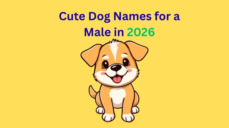Cute Dog Names for a Male in 2026