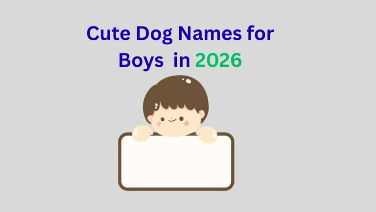 Cute Dog Names for Boys in 2026
