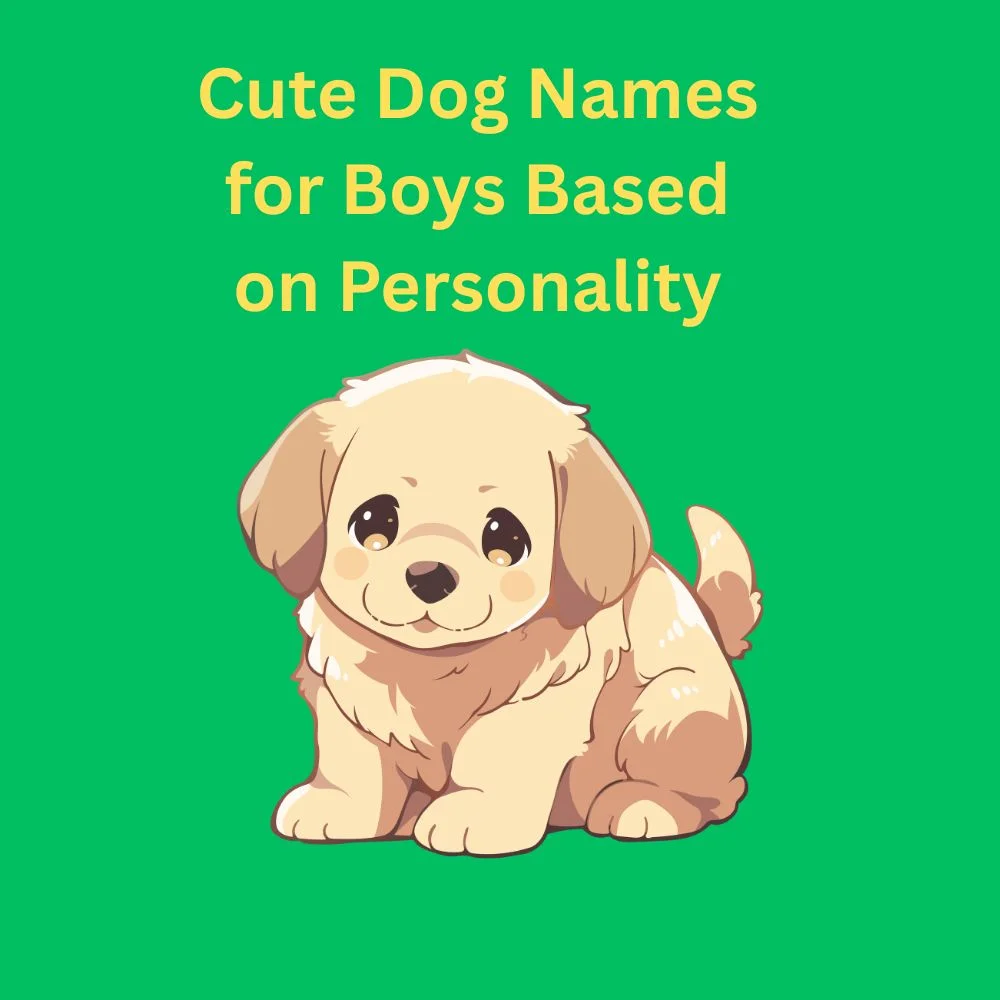 Cute Dog Names for Boys Based on Personality
