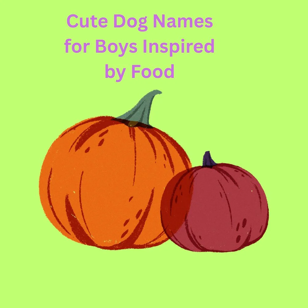 Cute Dog Names for Boys Inspired by Food