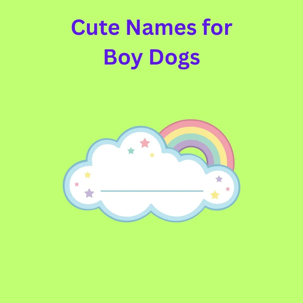 Cute Names for Boy Dogs