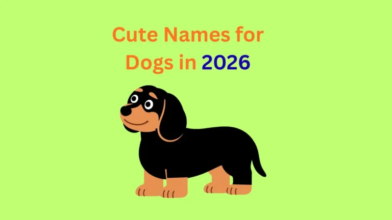 Cute Names for Dogs in 2026