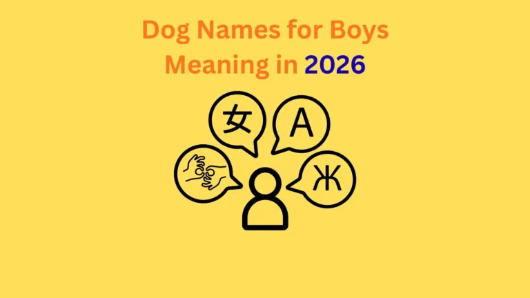 Dog Names for Boys Meaning in 2026