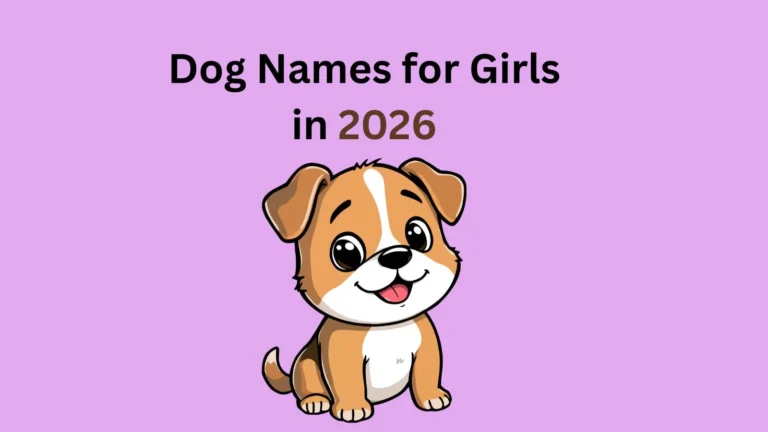 Dog Names for Girls in 2026