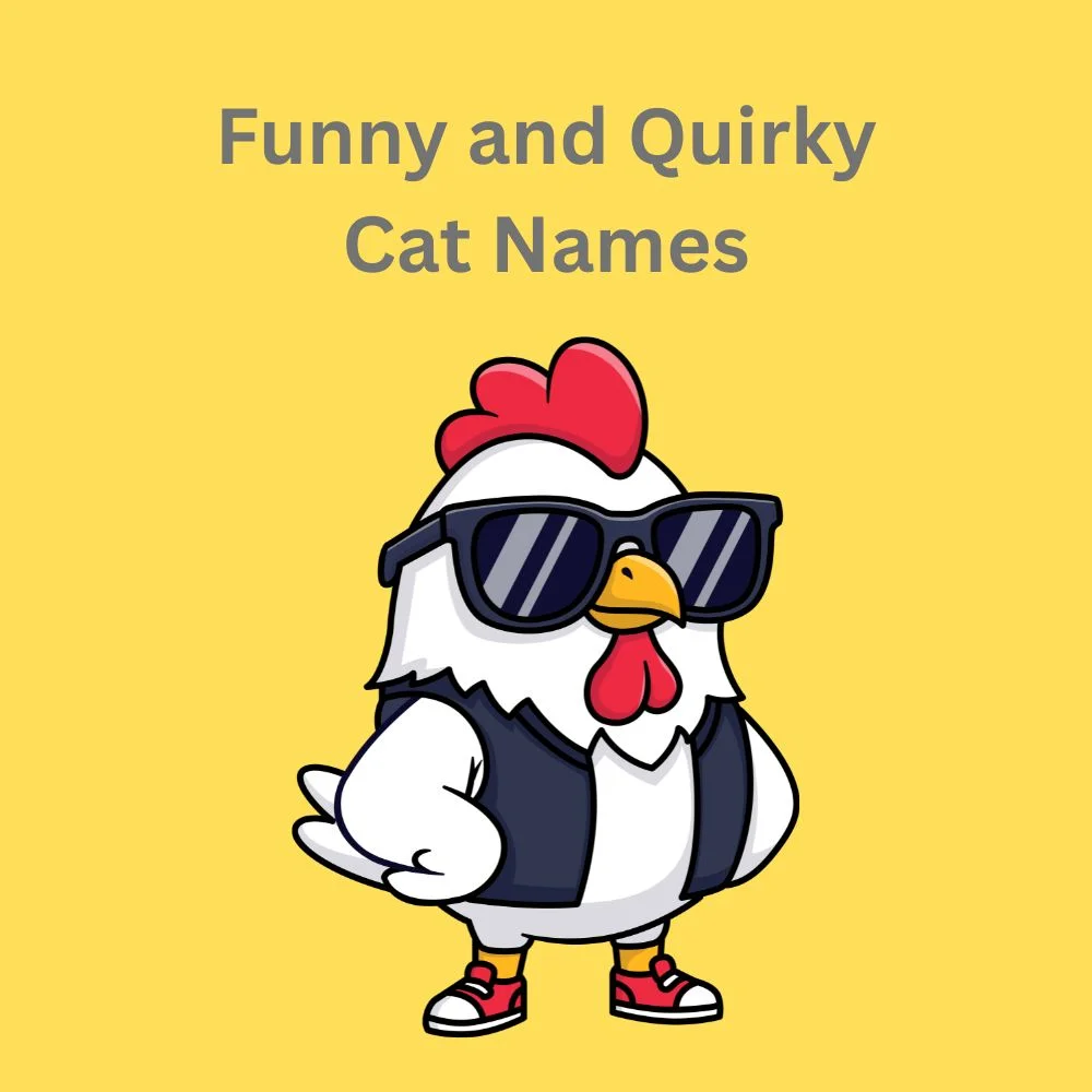 Funny and Quirky Cat Names