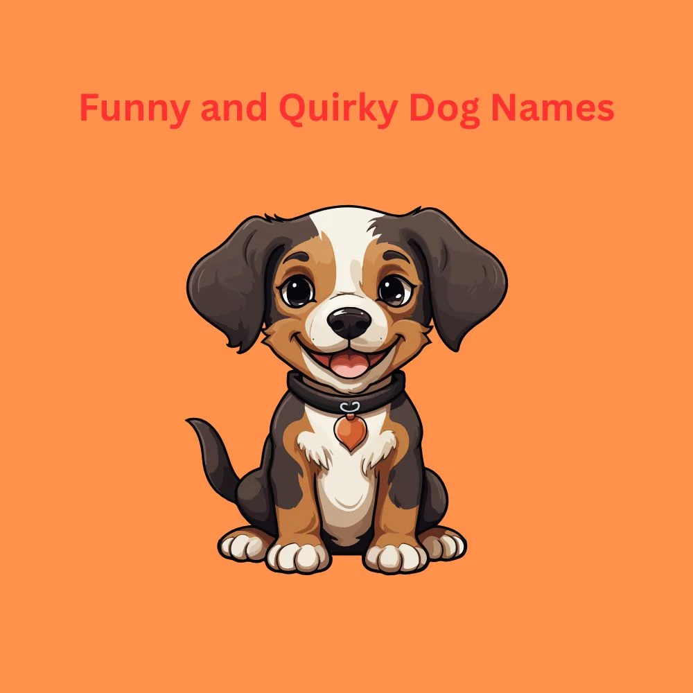 Funny and Quirky Dog Names