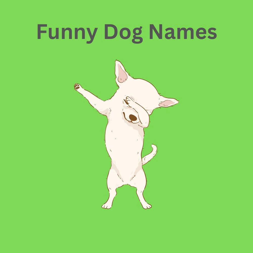 Funny Dog Names