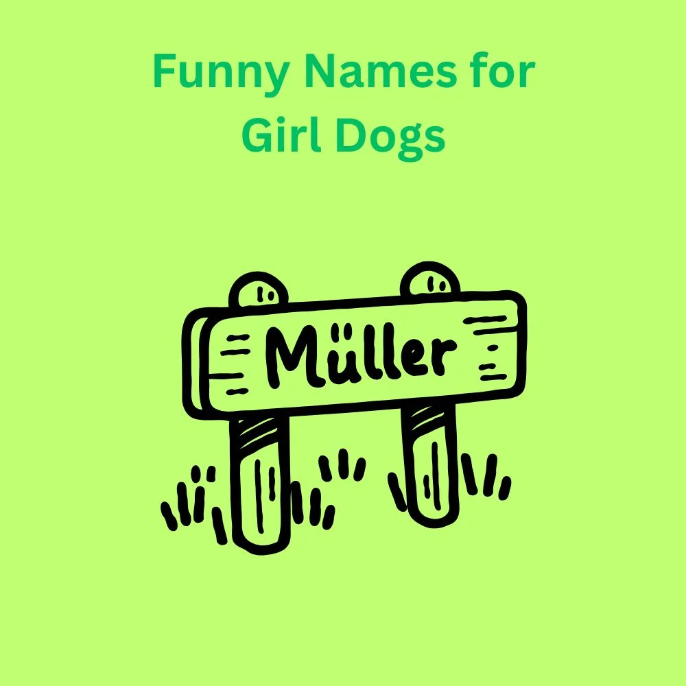 Funny Names for Girl Dogs