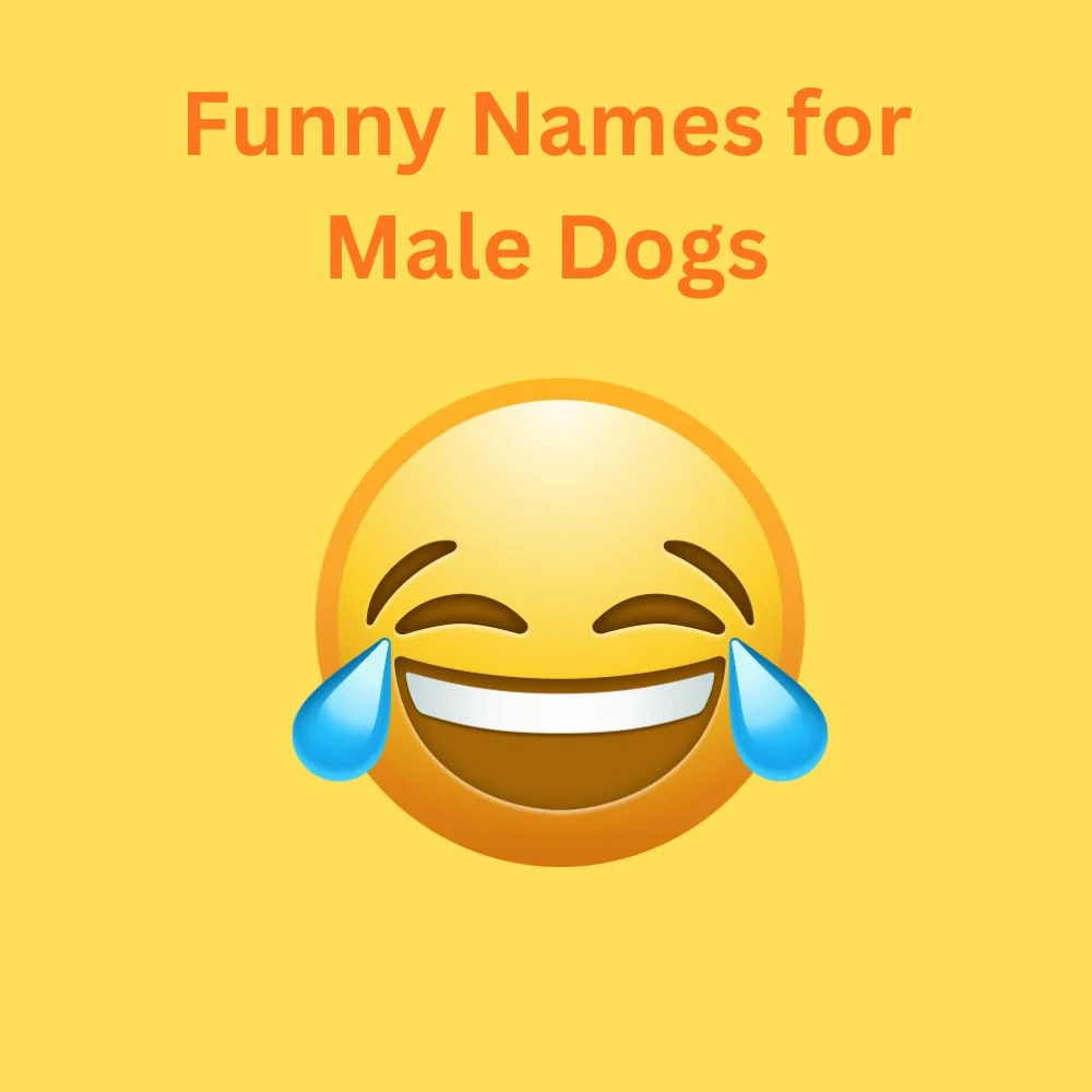 Funny Names for Male Dogs
