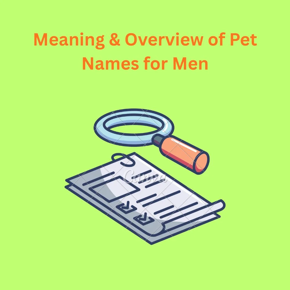 Meaning & Overview of Pet Names for Men