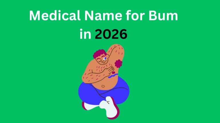 Medical Name for Bum in 2026