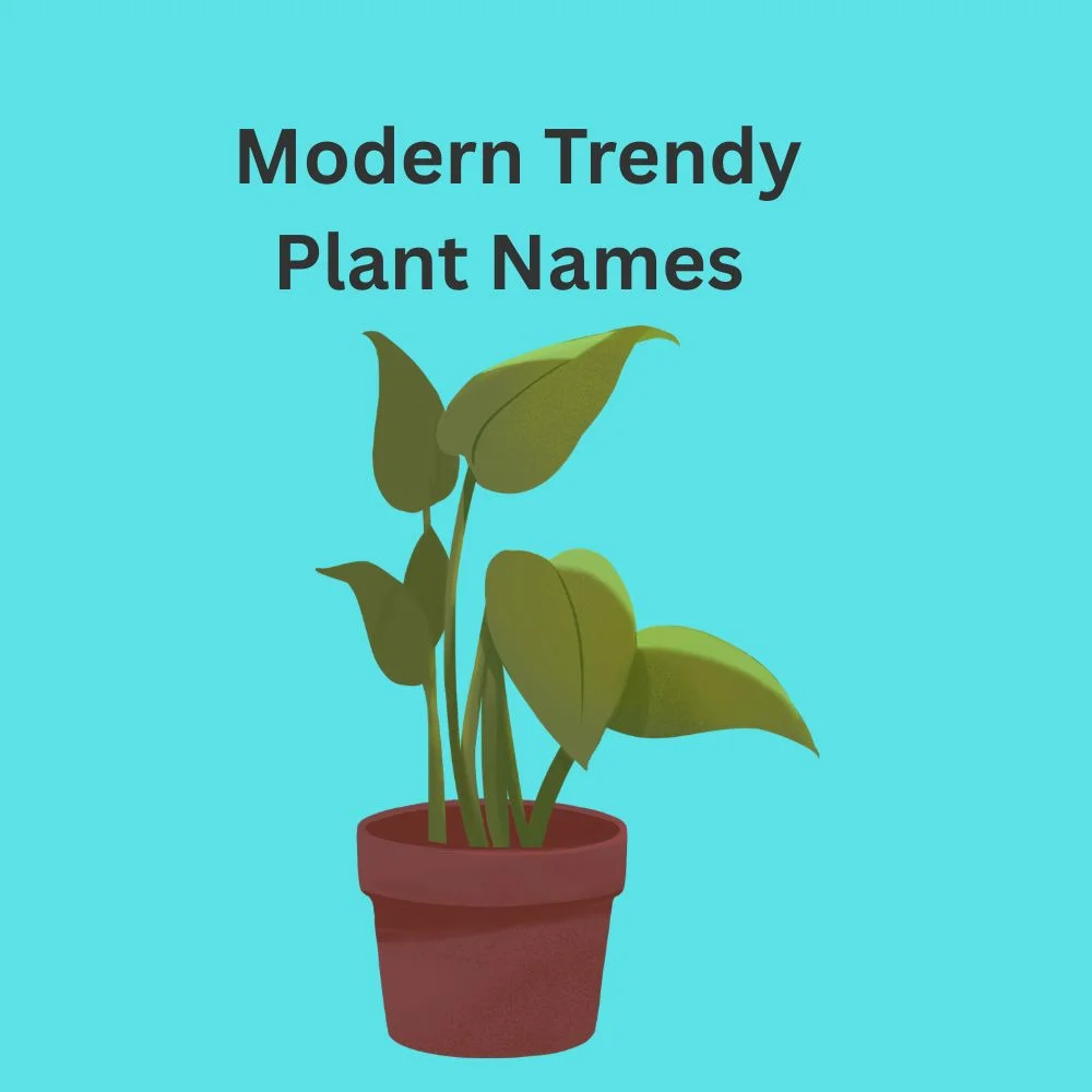  Modern Trendy Plant Names