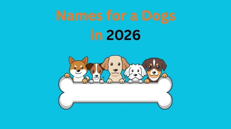 Names for a Dogs in 2026
