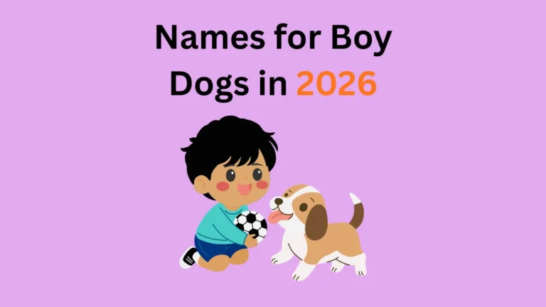Names for Boy Dogs in 2026