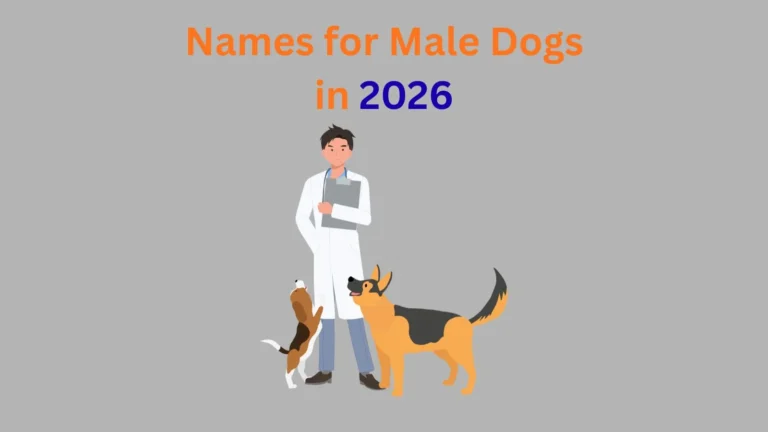 Names for Male Dogs in 2026
