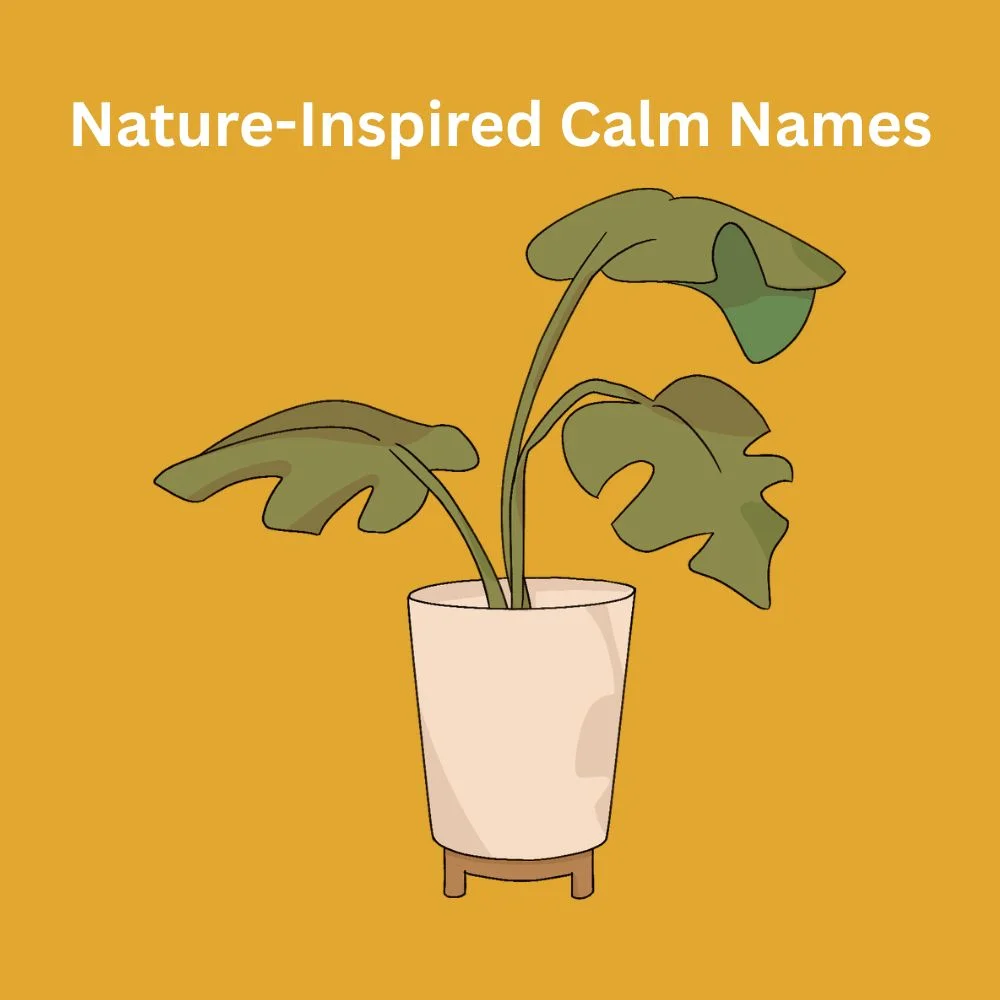 Nature-Inspired Calm Names