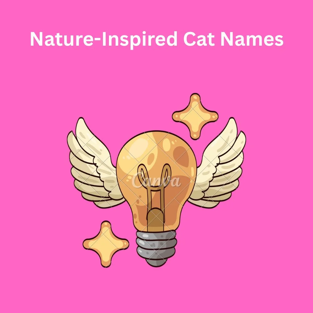 Nature-Inspired Cat Names