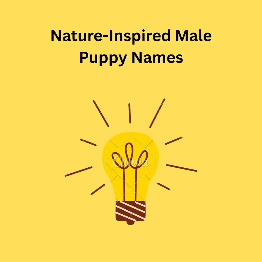Nature-Inspired Male Puppy Names