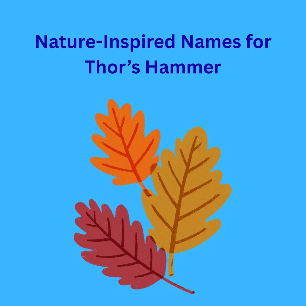 Nature-Inspired Names for Thor’s Hammer