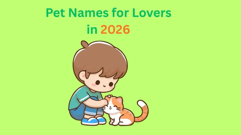 Pet Names for Lovers in 2026