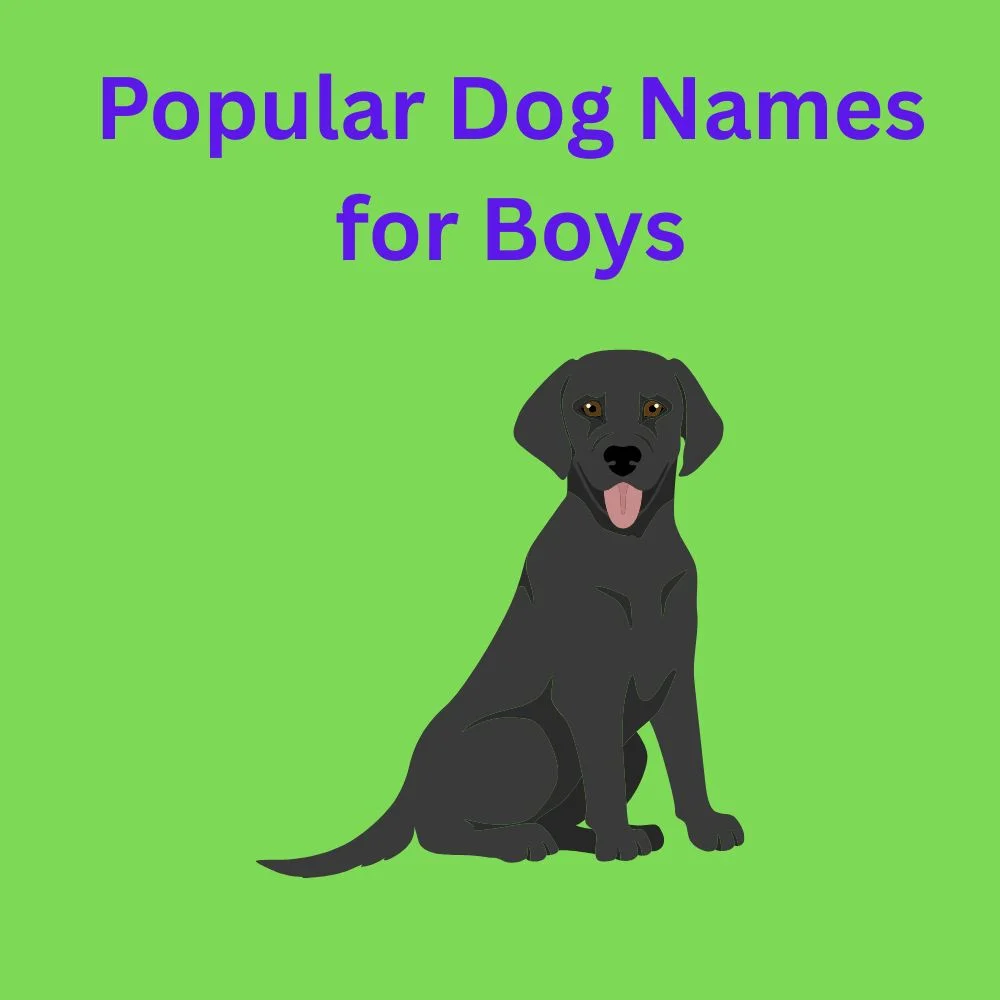 Popular Dog Names for Boys