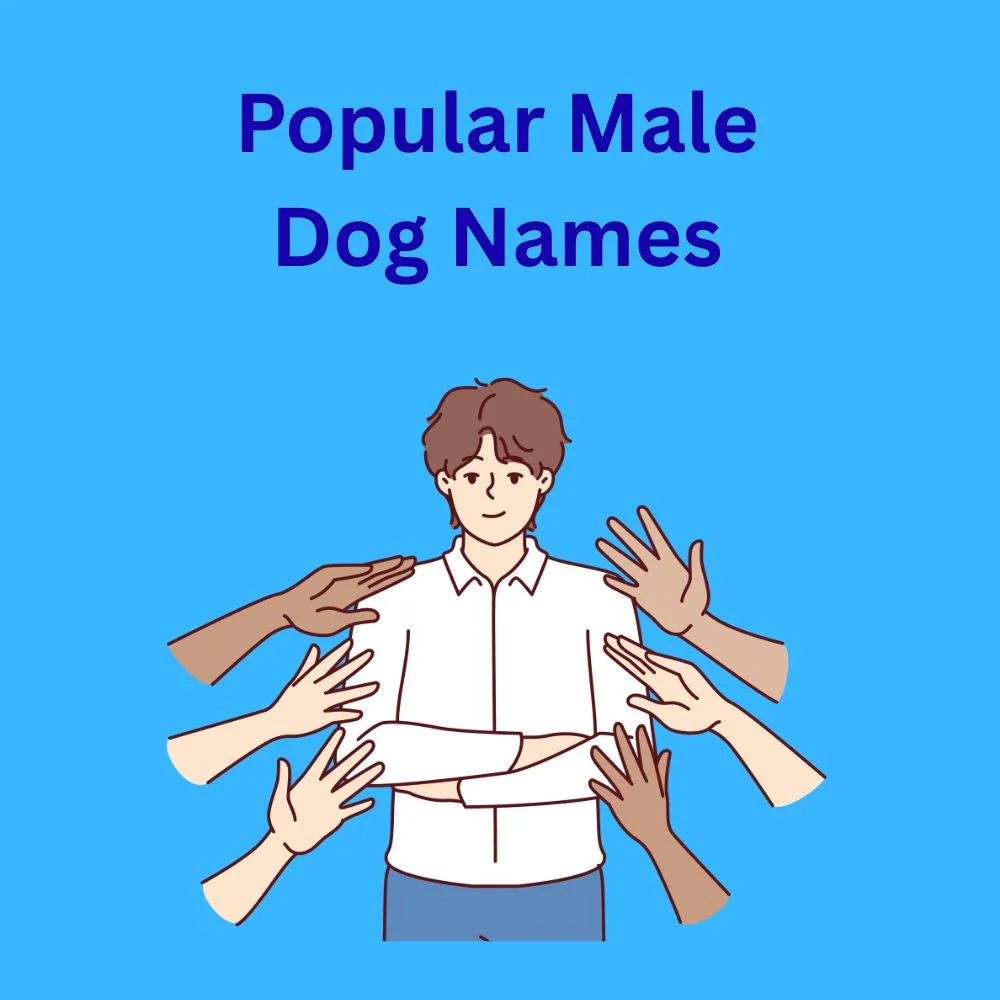 Popular Male Dog Names