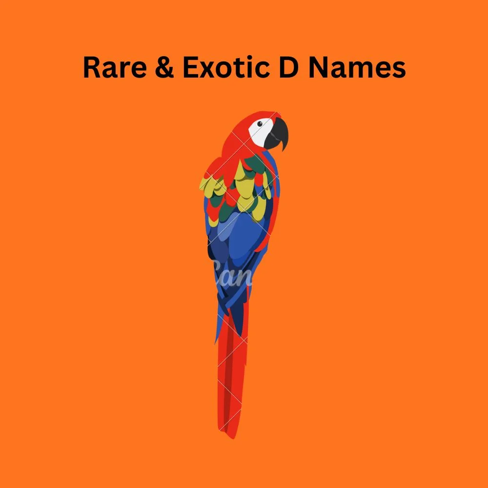 Classic D Names for Girls