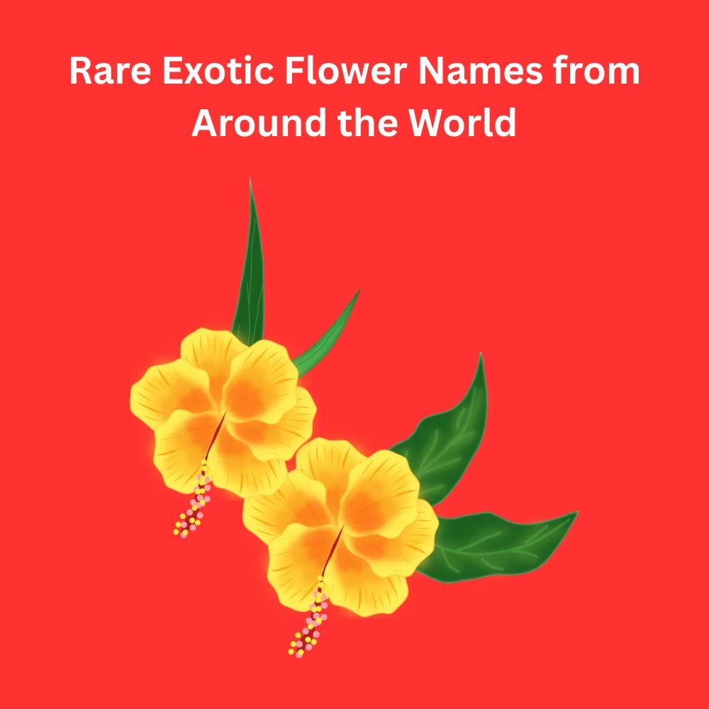 Rare Exotic Flower Names from Around the World