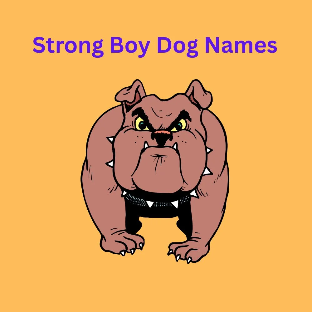 Strong Boy Dog Names