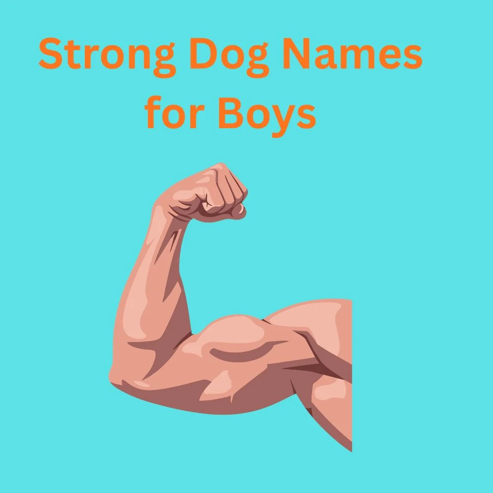 Strong Dog Names for Boys