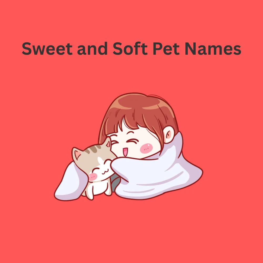 Sweet and Soft Pet Names