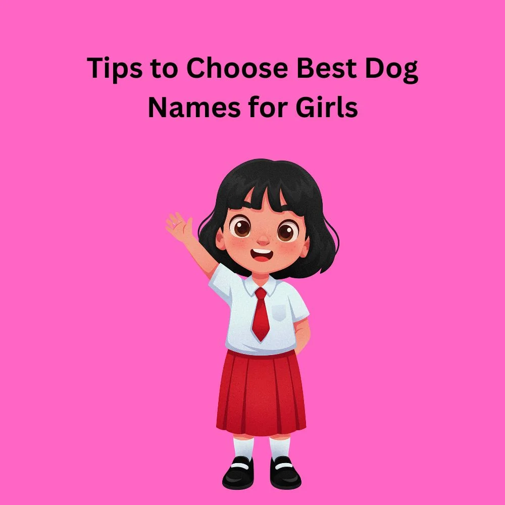 Tips to Choose Best Dog Names for Girls