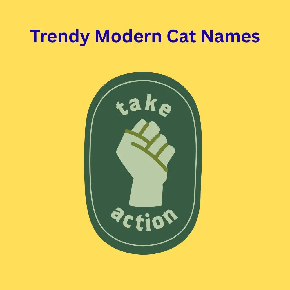 Trendy Modern Cat Names