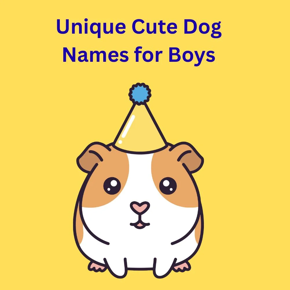 Unique Cute Dog Names for Boys