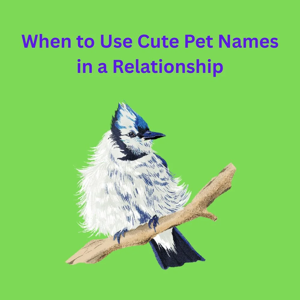 When to Use Cute Pet Names in a Relationship